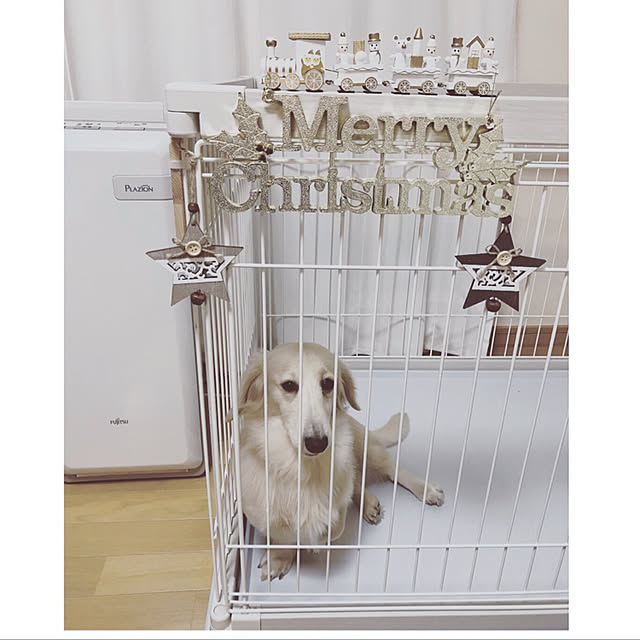 tmさんの実例写真