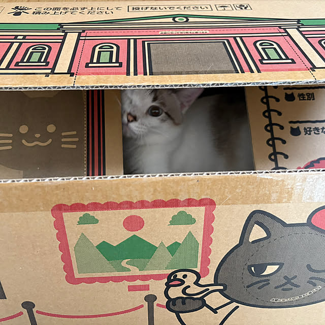 myurin.comさんの部屋