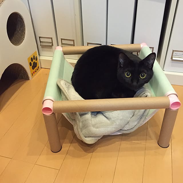 yuki0511さんの実例写真
