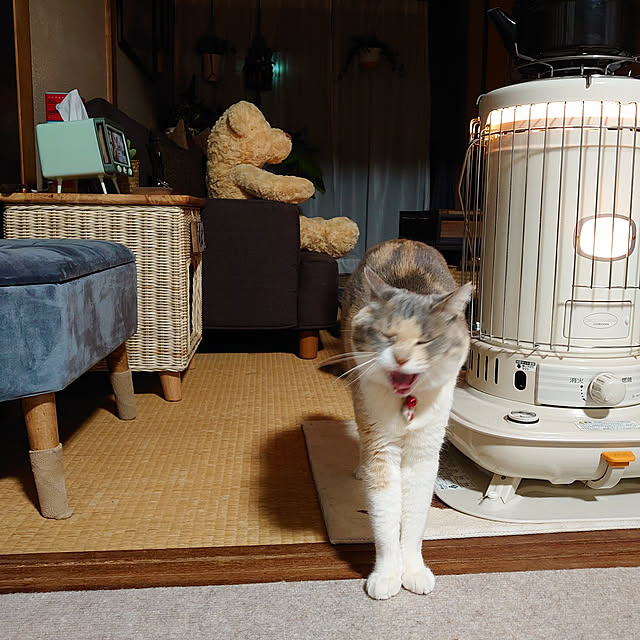 fukuさんの実例写真