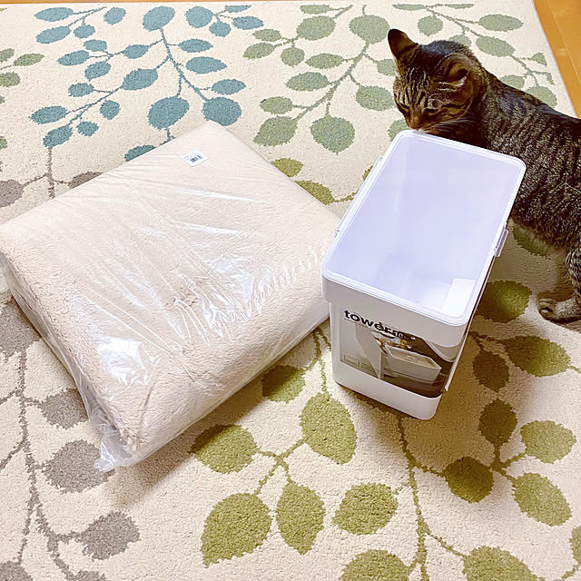 cocomaroさんの実例写真