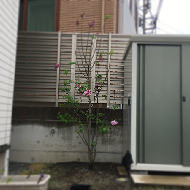 sachimさんの実例写真