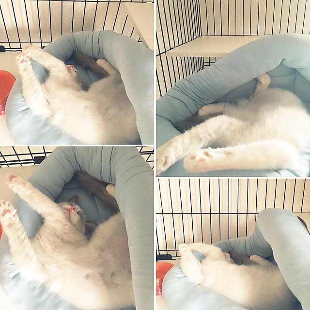 rbesfさんの実例写真