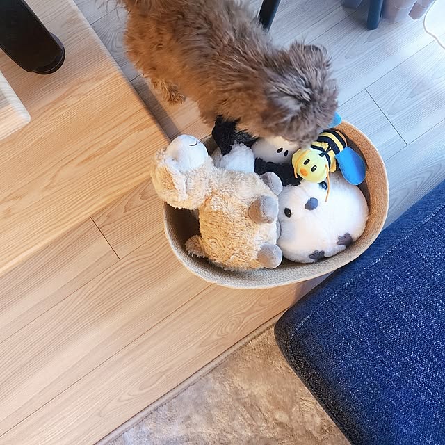kmg_roomさんの実例写真