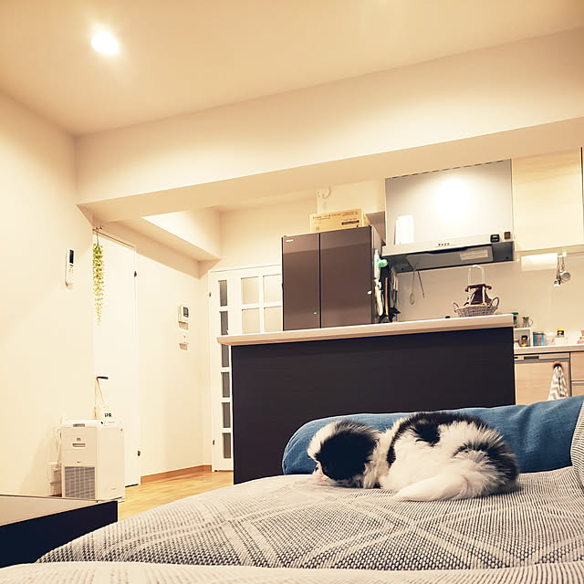 sanoaさんの実例写真