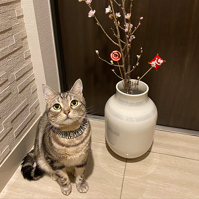 yoshimi_443さんの実例写真