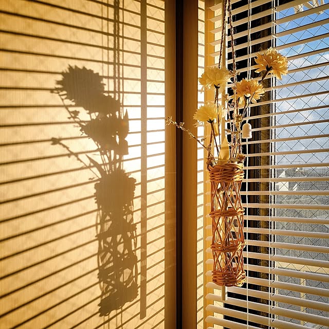 38さんの実例写真