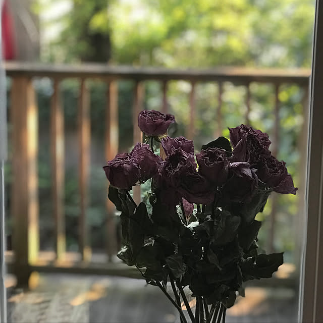 Mikiさんの実例写真