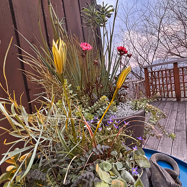 mamichopさんの部屋