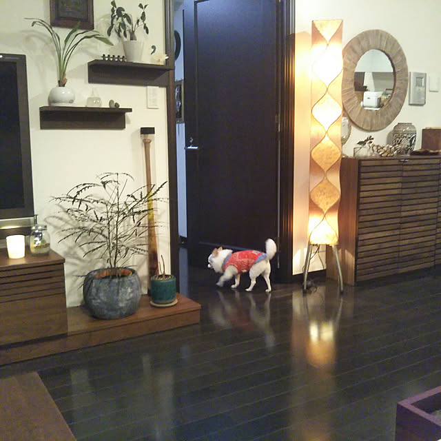 chapiさんの実例写真