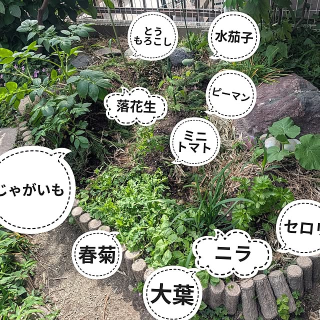 hassakuさんの実例写真