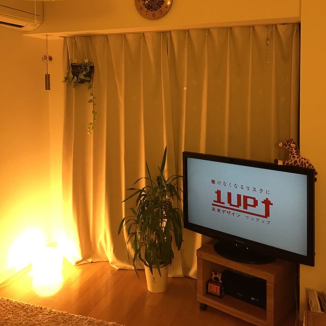 実例写真