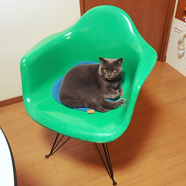 Shojiさんの実例写真
