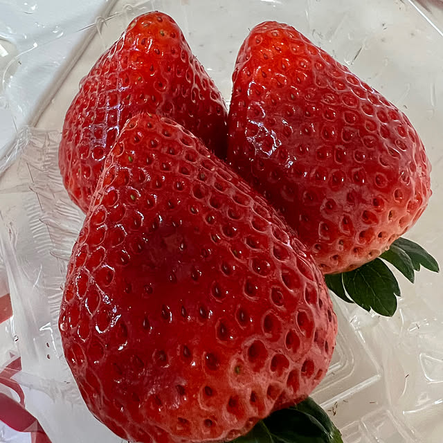 nannoさんの部屋