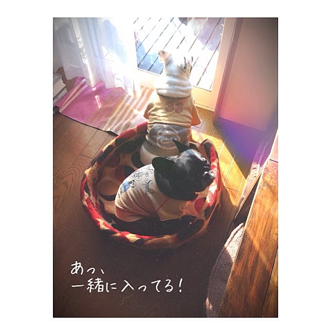 38coreさんの実例写真