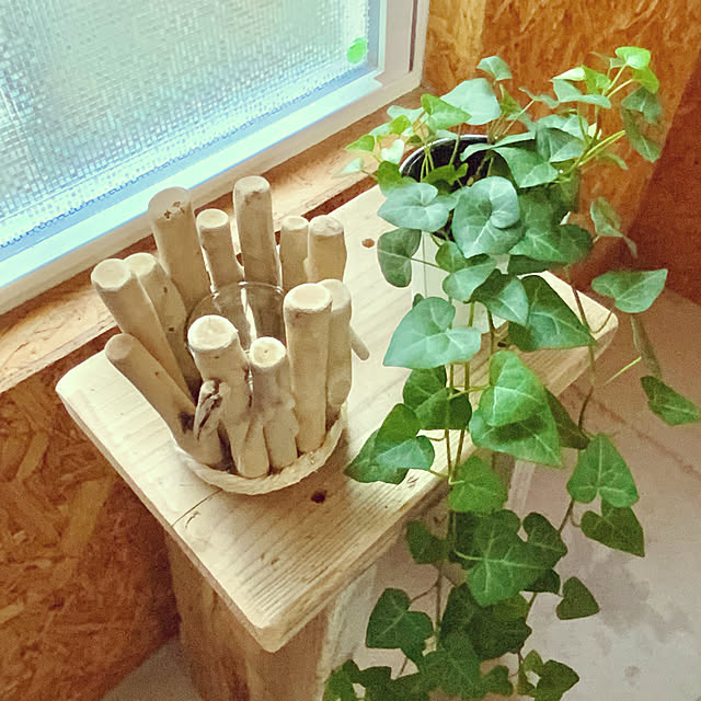 SHIrokuMAさんの実例写真