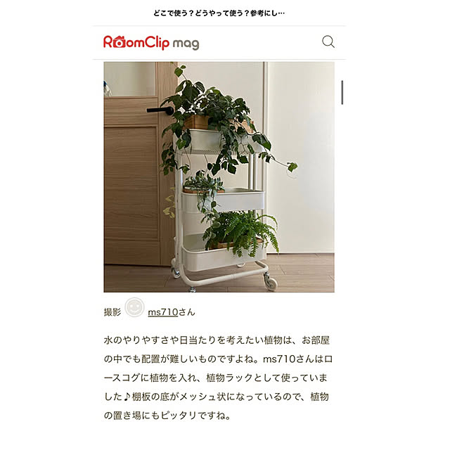 ms710さんの実例写真