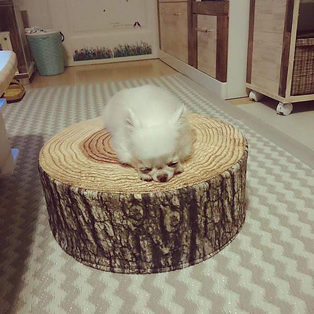 chibiさんの実例写真