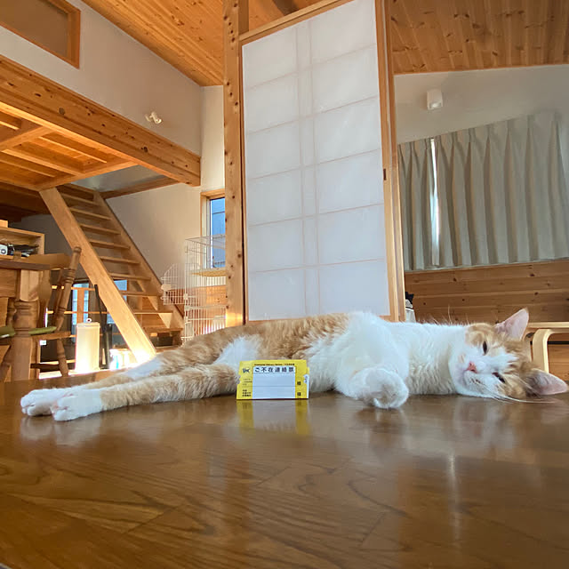senbei.sakuramochiさんの実例写真