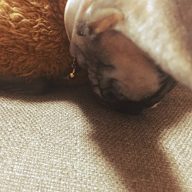 satukori0204さんの実例写真