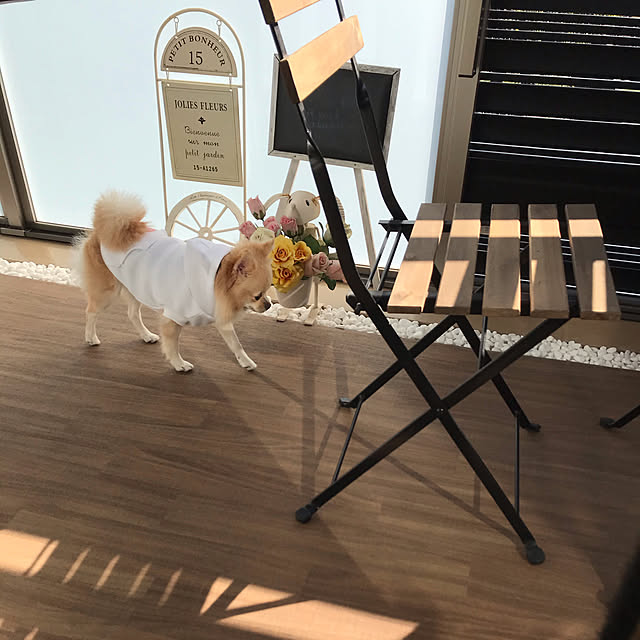 m-naturalさんの実例写真