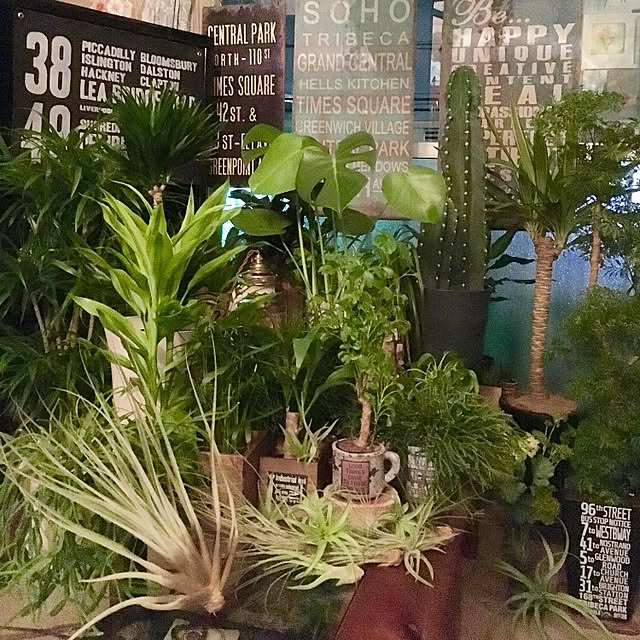 Shujiさんの実例写真