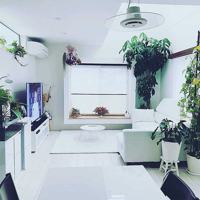 部屋全体のインテリア実例 - 2019-10-28 04:36:32