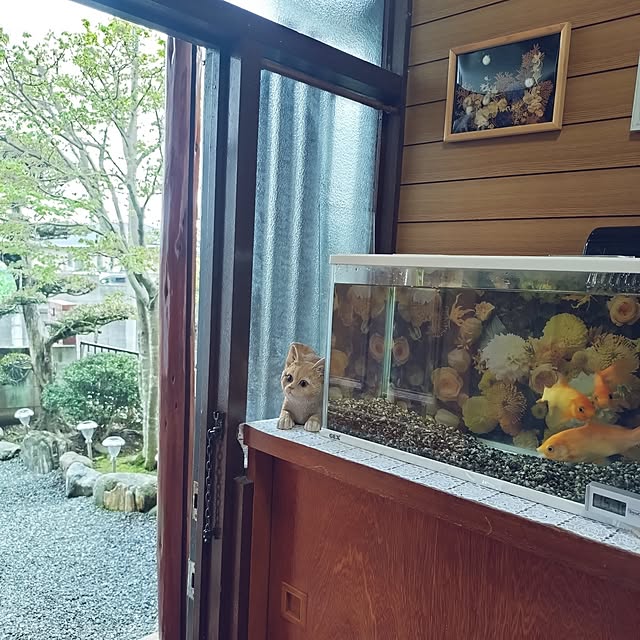 NOAHさんの部屋