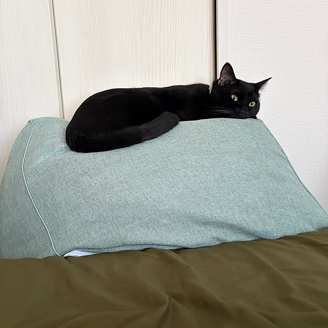 makiさんの実例写真