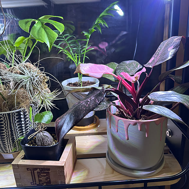 yaiyaiさんの部屋