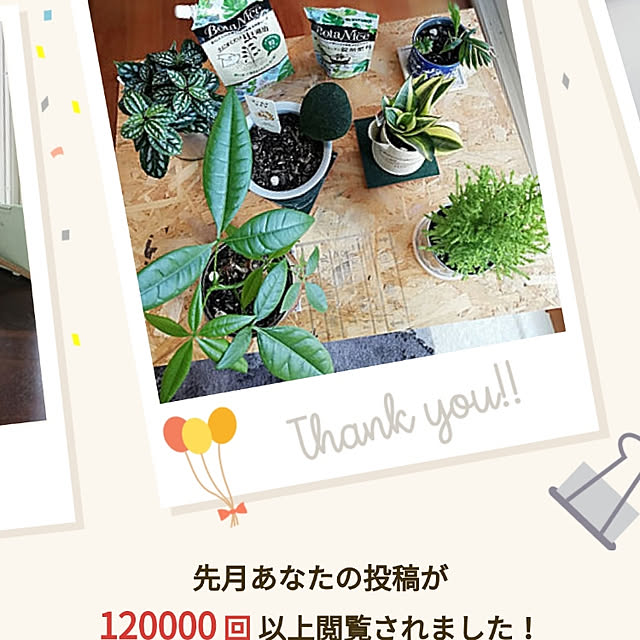 bambiさんの実例写真