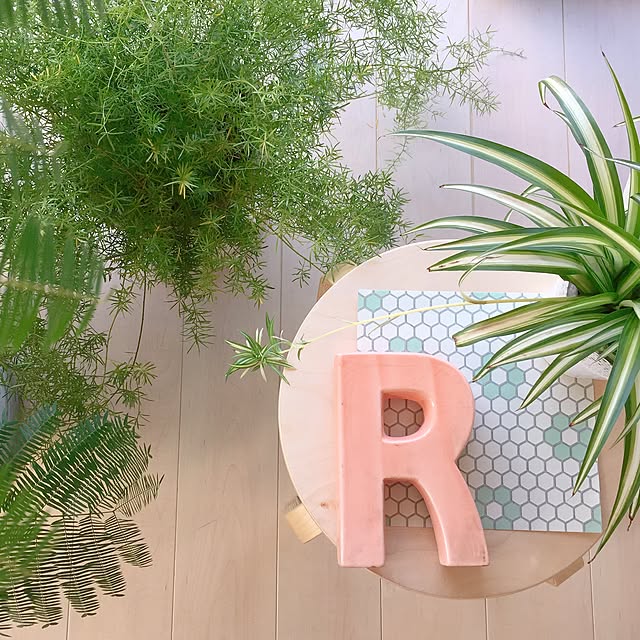 Rさんの実例写真