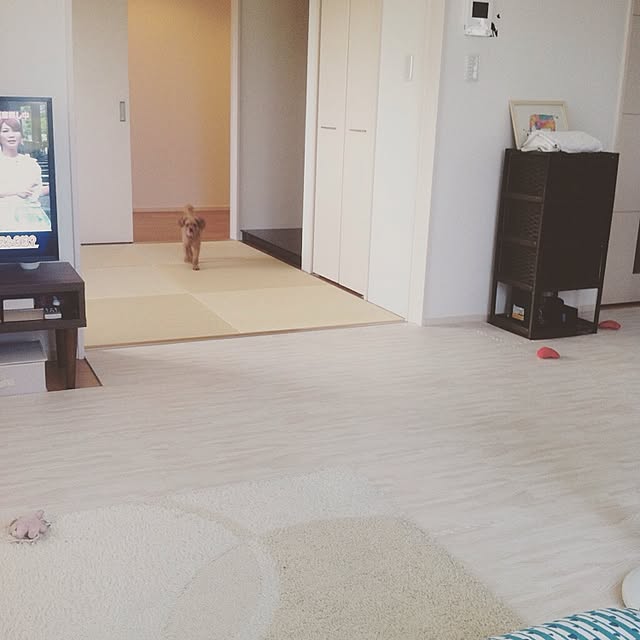 Tarutoさんの実例写真