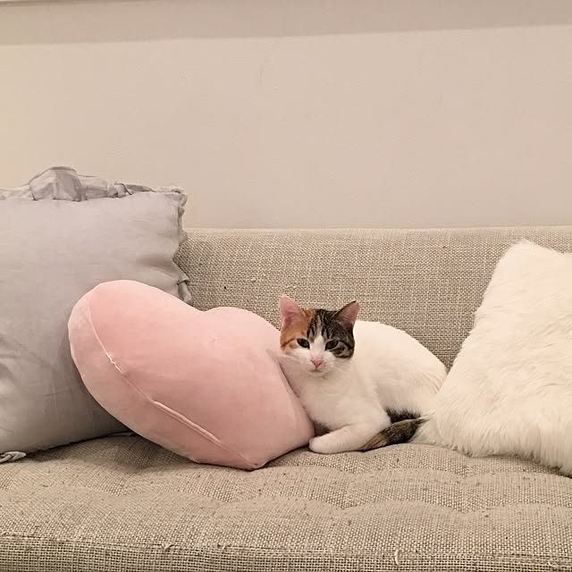 koumeさんの実例写真