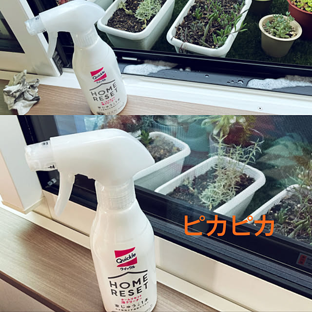 seiさんの実例写真