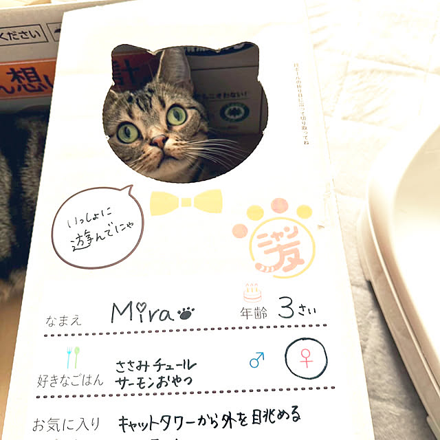 karinさんの実例写真
