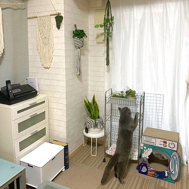 kittyさんの実例写真
