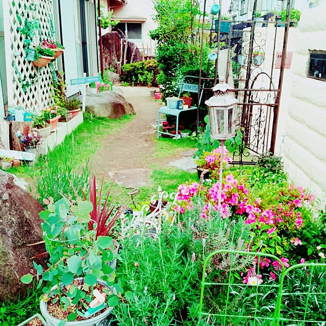 Michieさんの実例写真