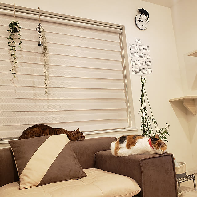 megu.catさんの実例写真