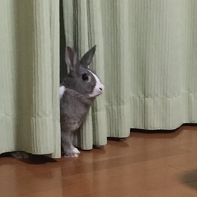 sanさんの実例写真