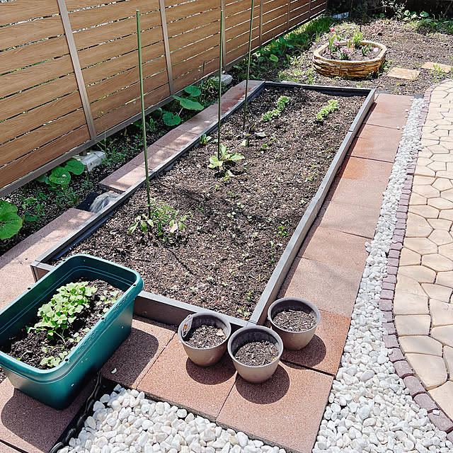 chanduさんの部屋