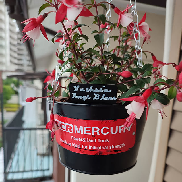 Tackunさんの実例写真