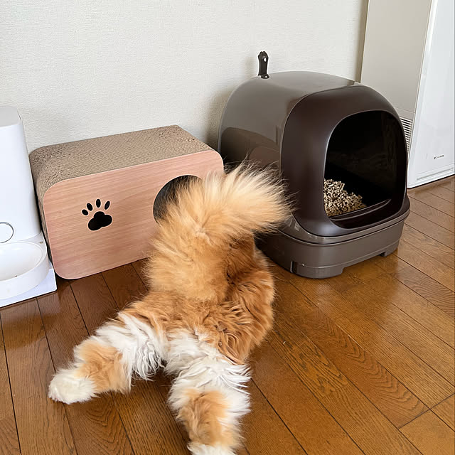 SANKIRAIさんの実例写真