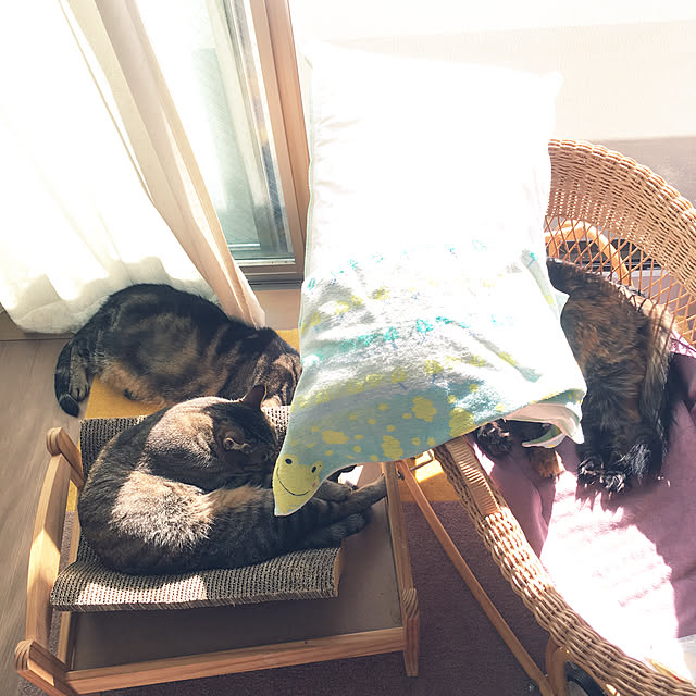mikomaruさんの実例写真