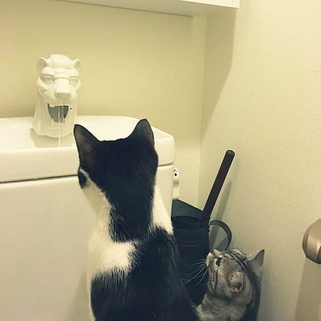 mikomaruさんの実例写真