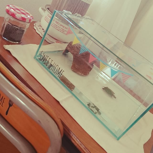 papicoさんの実例写真