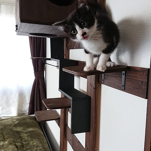 f19fv36.aiさんの実例写真