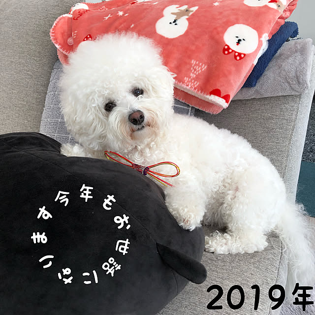 unichanさんの実例写真