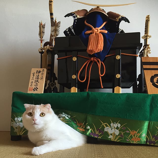 onojiijiさんの実例写真