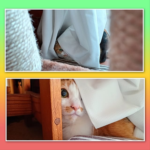 nanaさんの部屋